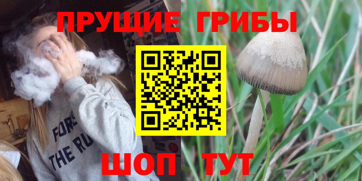 Псилоцибиновые грибы GOLDEN TEACHER  купить наркотики цена  Губаха  Вход с VPN  Галлюциногенные грибы Psilocybine cubensis 