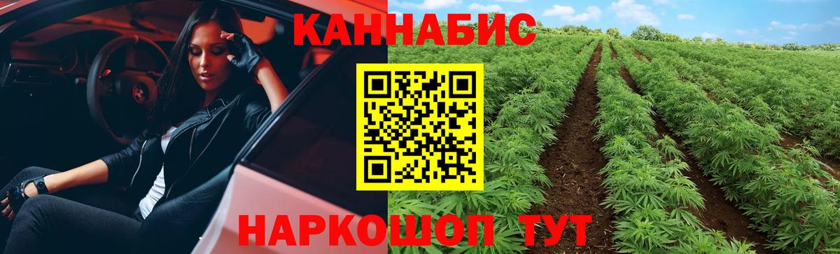 Конопля Amnesia Губаха